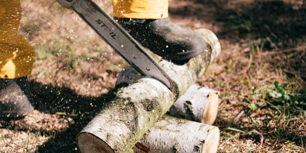 Stihl chainsaw